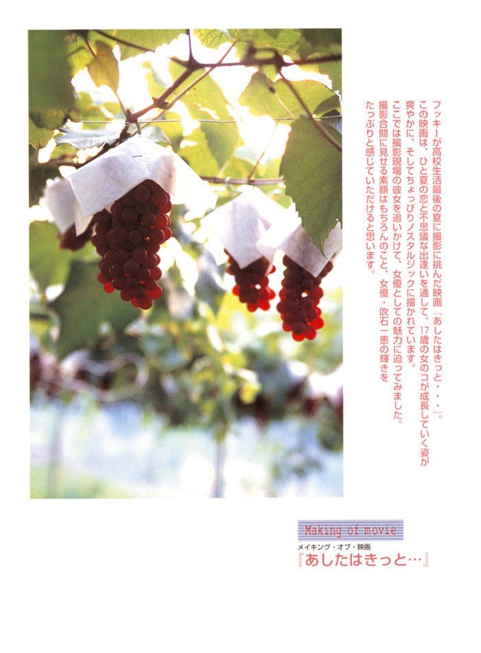 吹石一恵 画像044