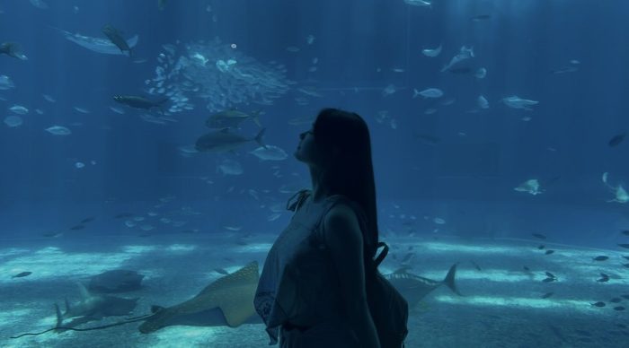 野村るな 画像093