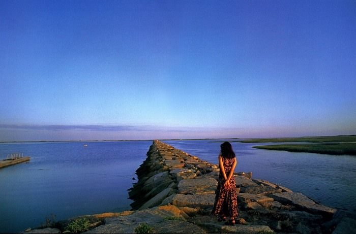 川島なお美 画像033